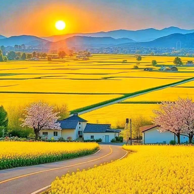 温昭君