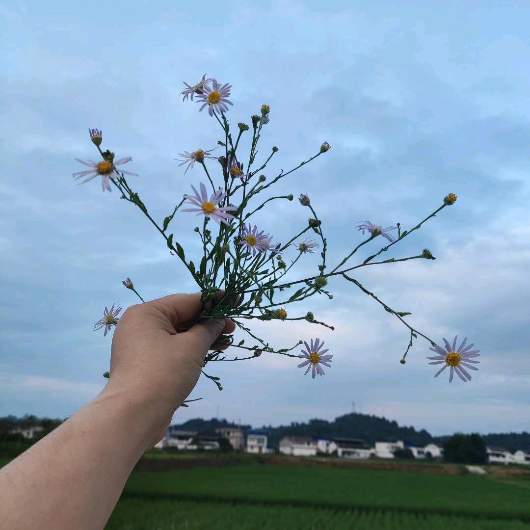 ✨Huᰔᩚangᐝ🌟（橱窗➗好物分享）