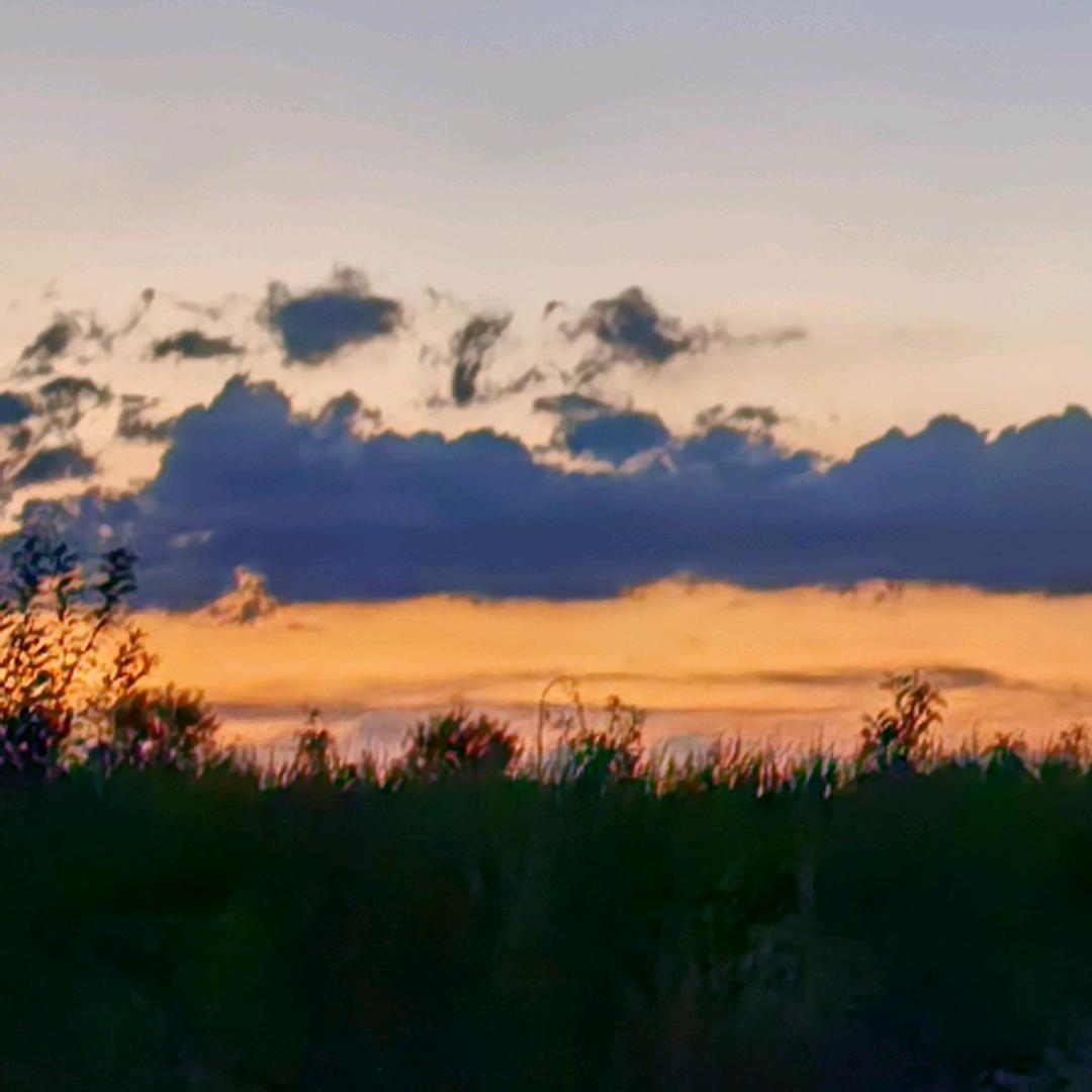 甜心宝贝(๑><๑）