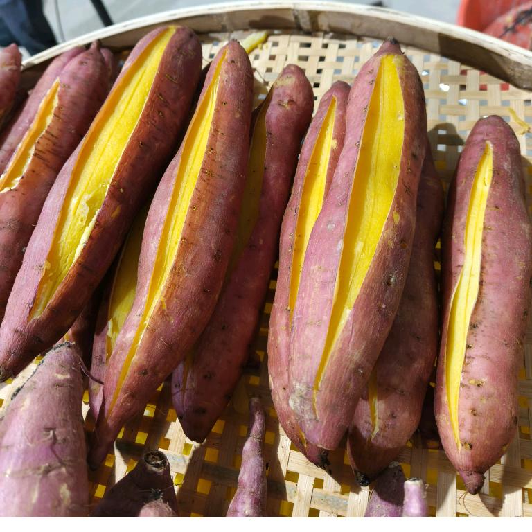 橙王甄选