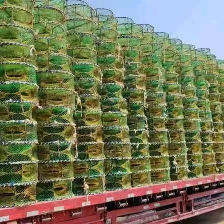 新旧哈龙都有，圆蟹龙25乘以60的20成