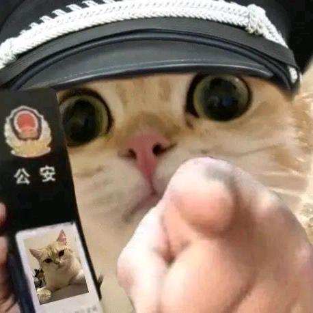 清鹤