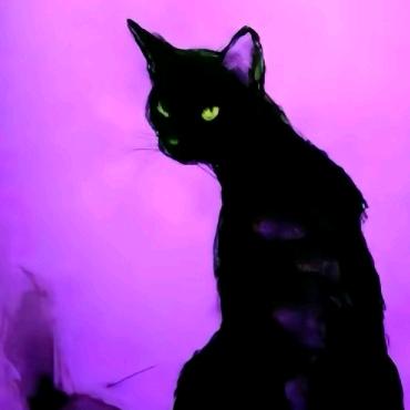 黑猫K