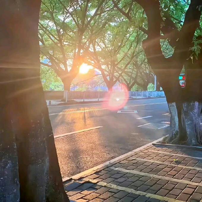 雯非问