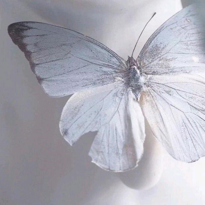 🍃