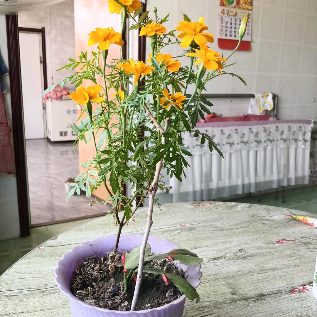 缘分