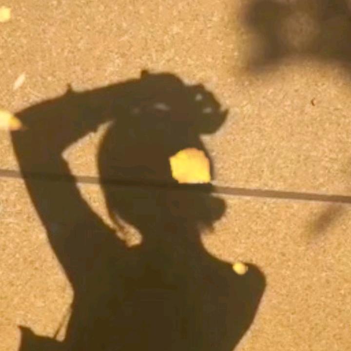 木槿暖夏
