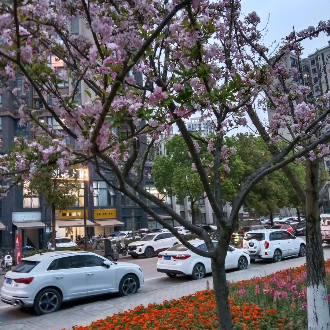 迎接明天