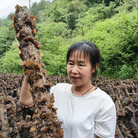 房县七妹，，香菇，木耳
