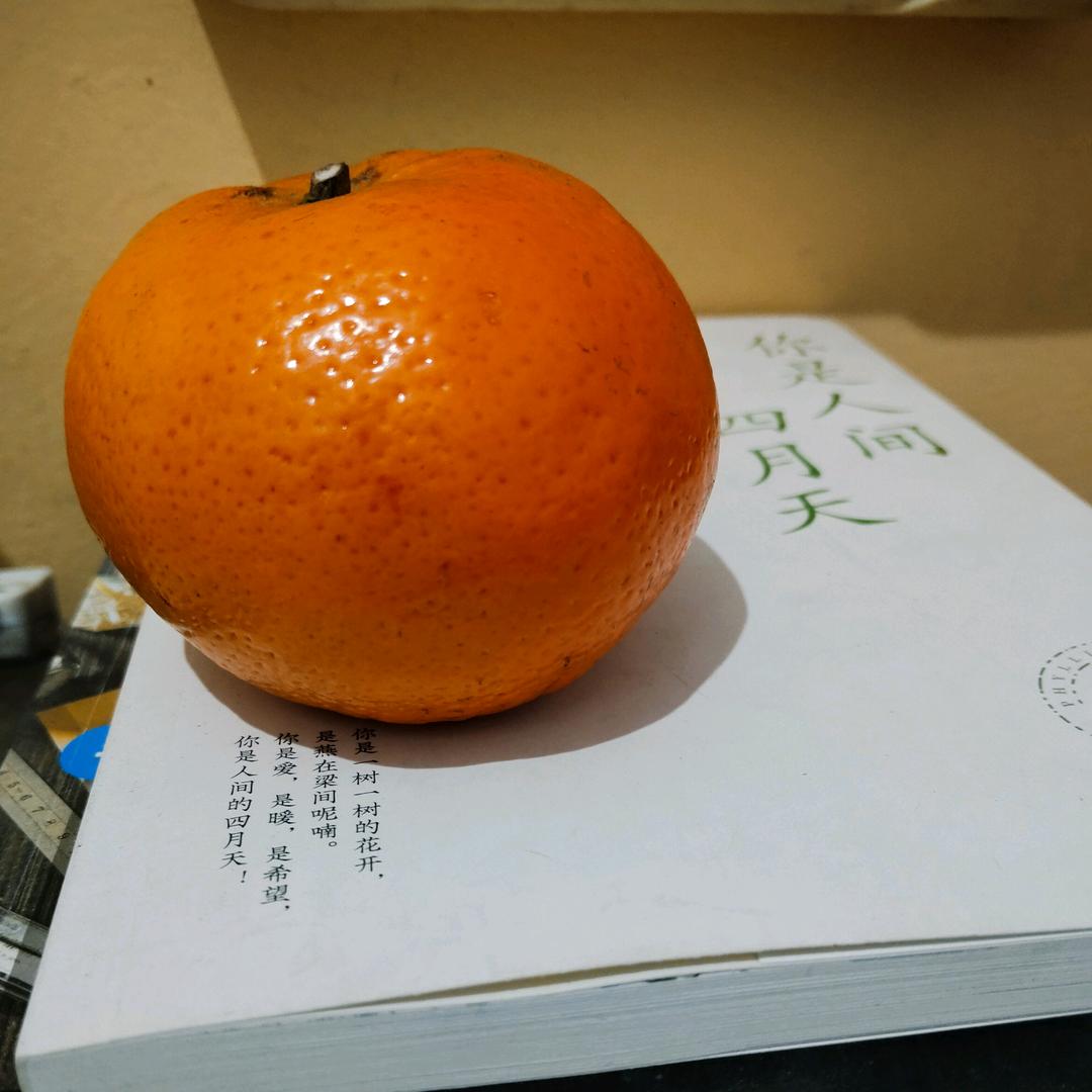 乂氼