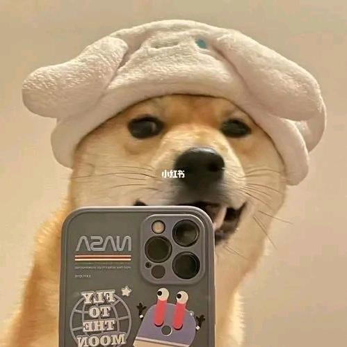 为了更好遇见你