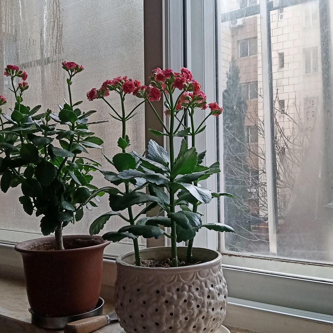 一生平安喜乐顺顺利利