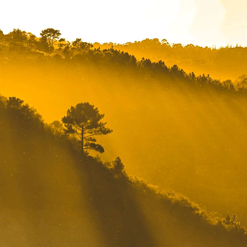 十字（三角洲行动）