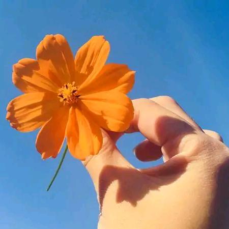静待花开