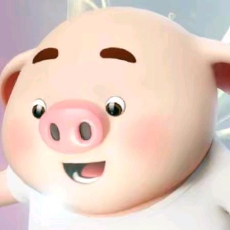 🐷🐷🐷