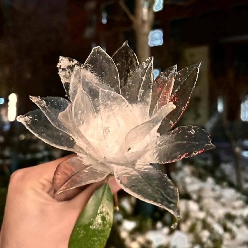💫好拾光