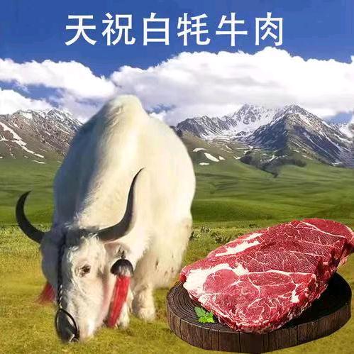 天祝东珠哥