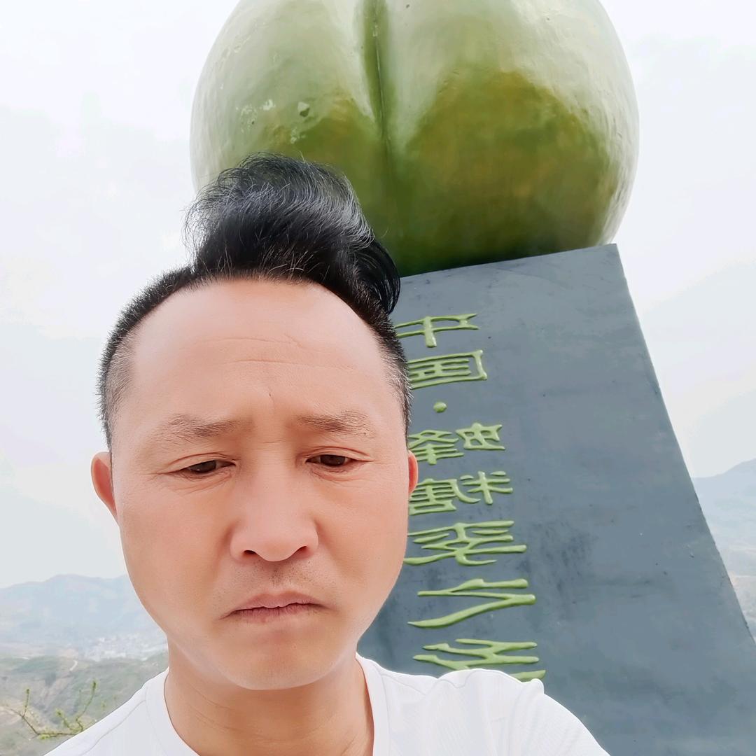 专业蜂糖李苗