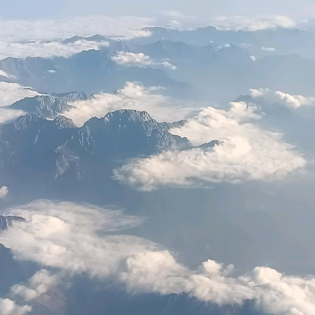 (ฅ´ω`ฅ)已阅留爪