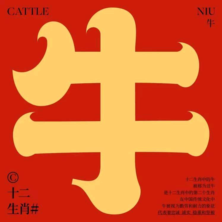 仰望天空