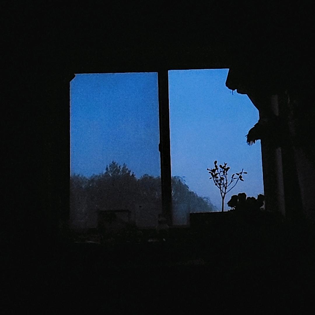 刘鑫宇