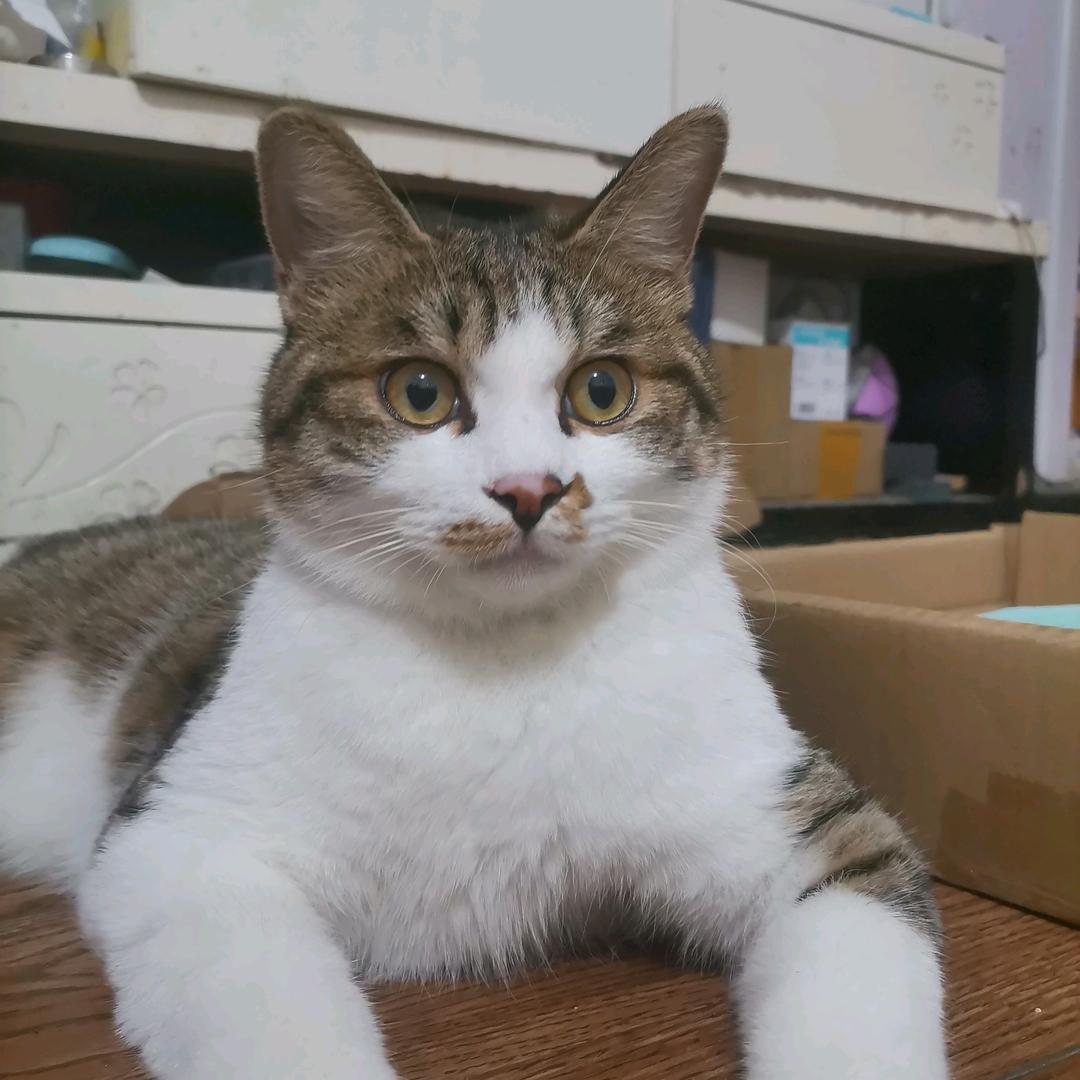q幸运