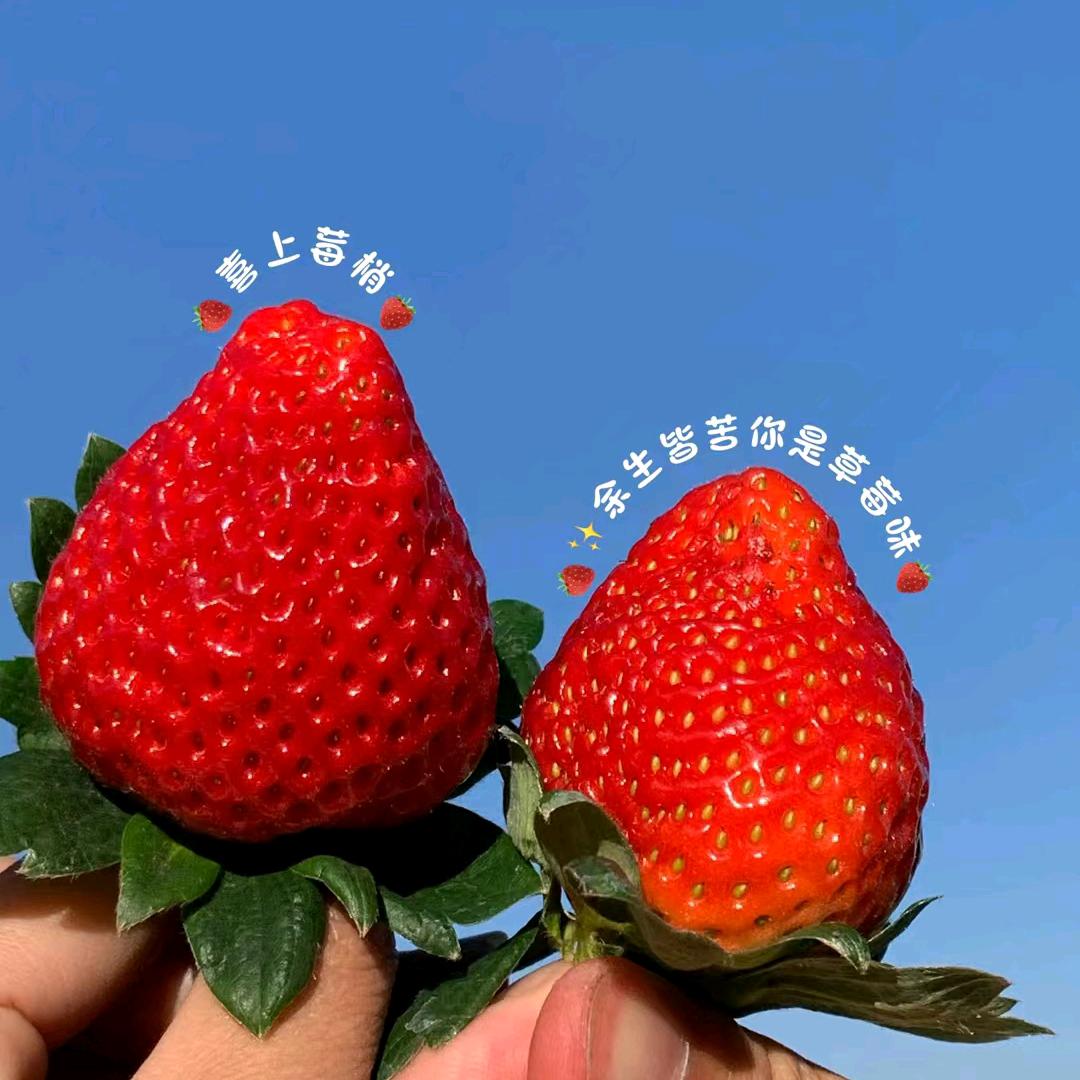 不觉有年(눈_눈)