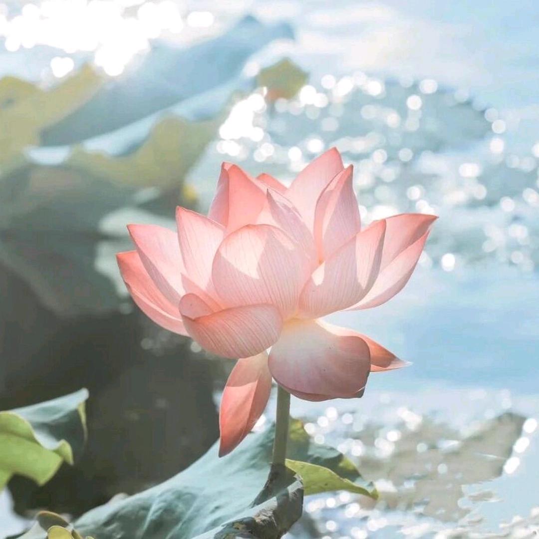 微风正好