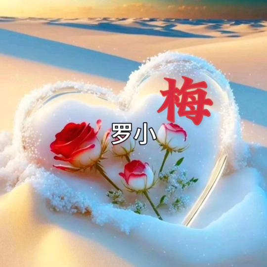 罗🍀小梅🌲