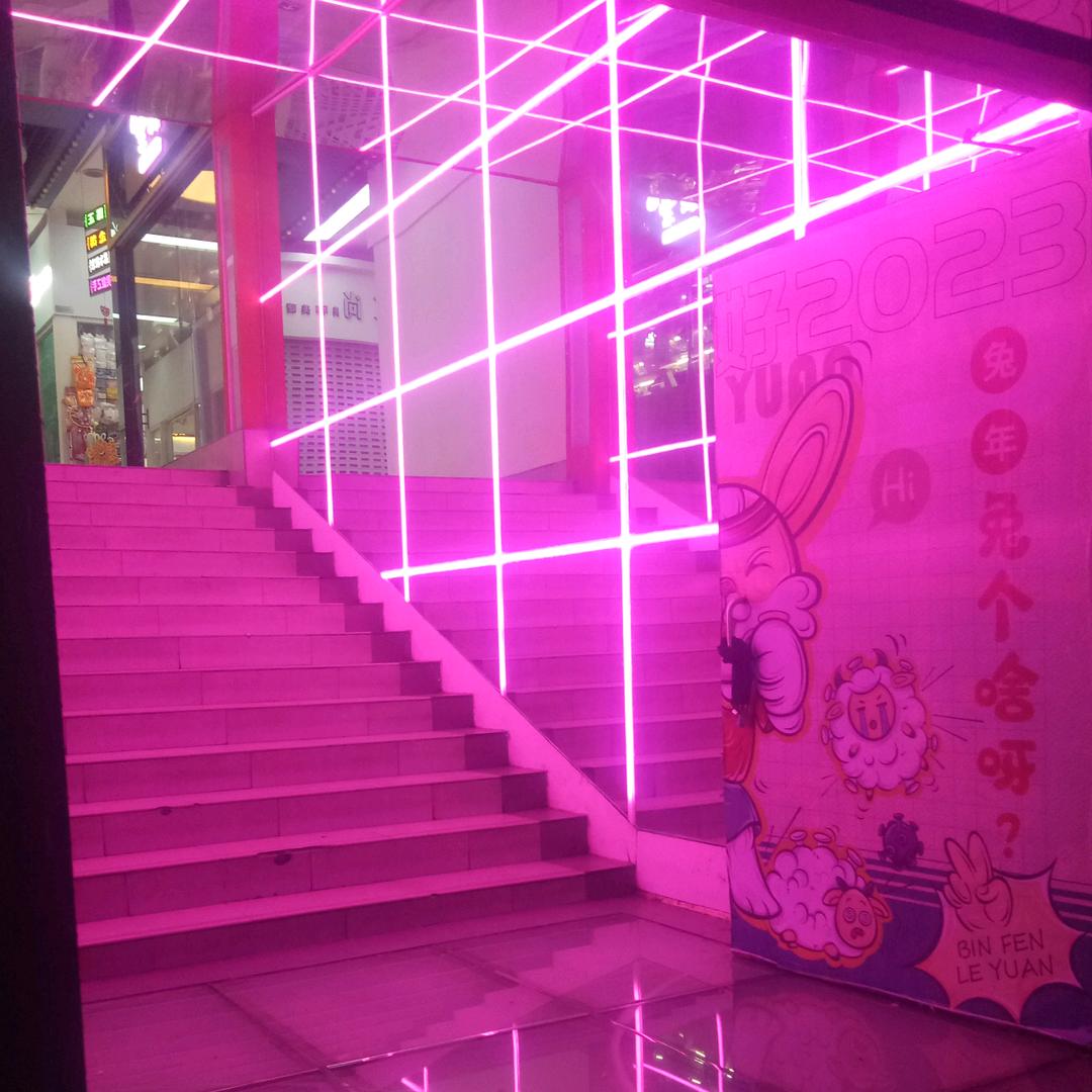 鸿福齐飞