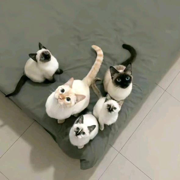 面对现实