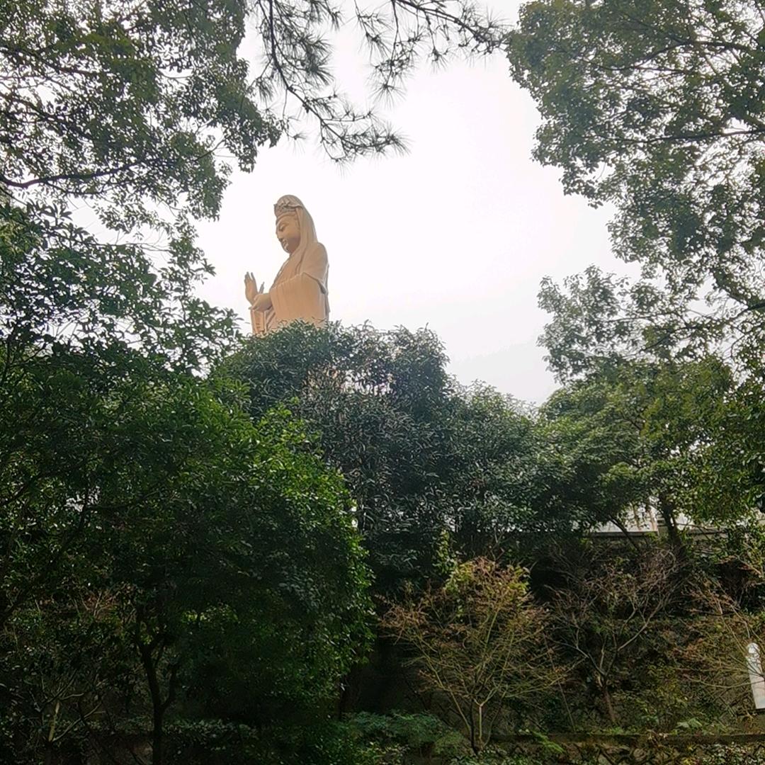 紫气东来