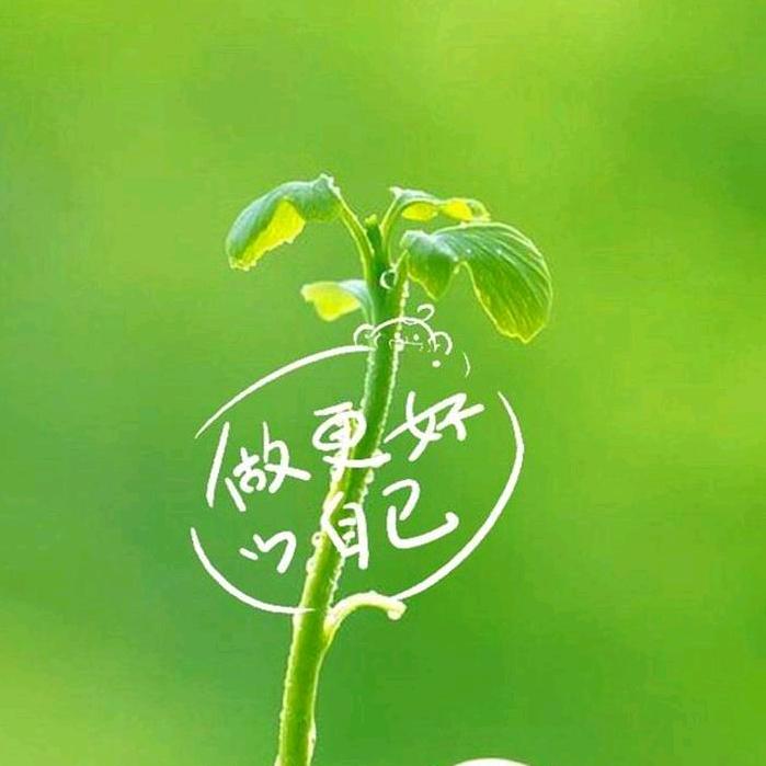 青沐