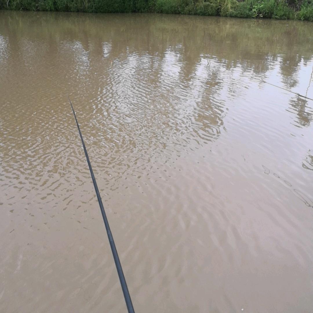 雲飝