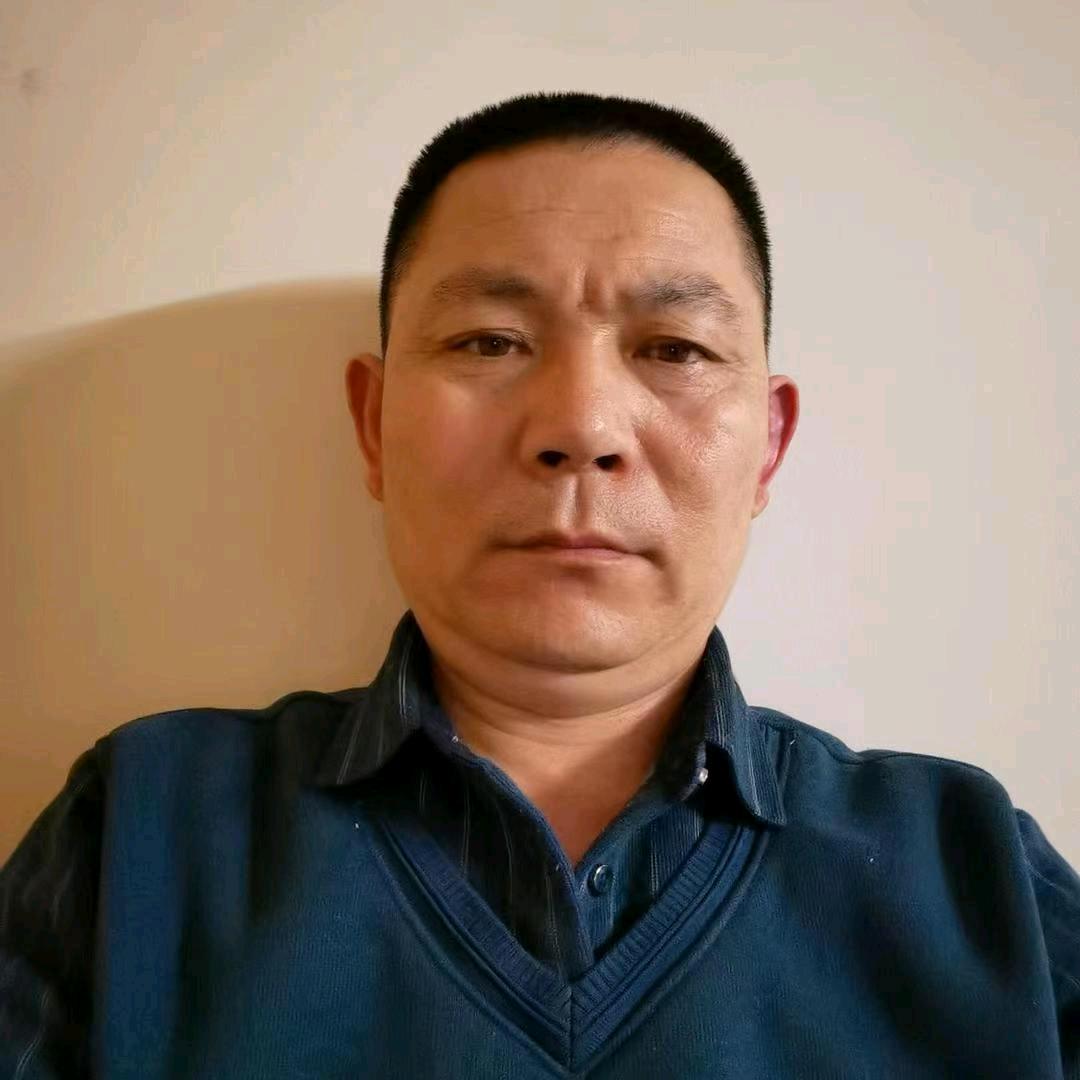 泰山娃2（19：30开播）