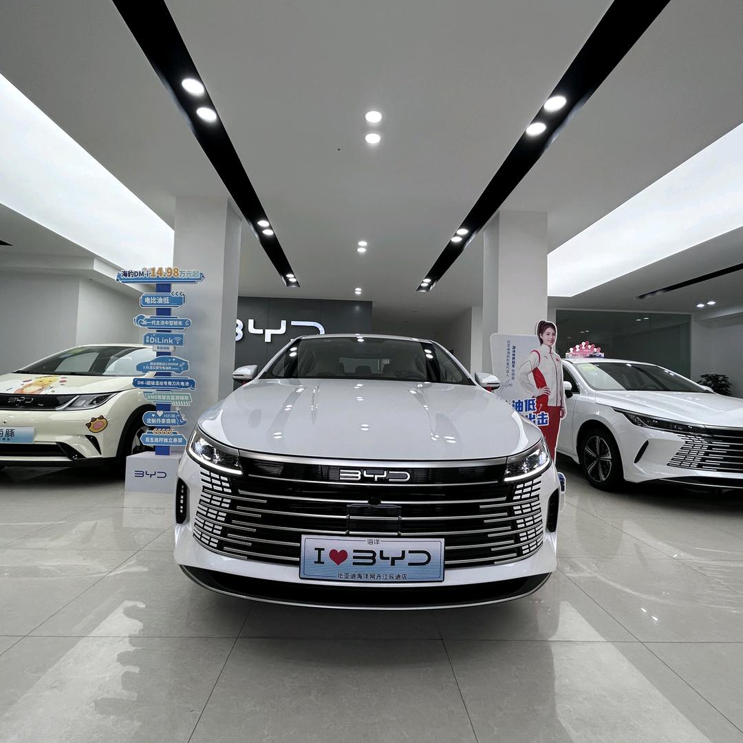 比亚迪海洋（丹江口辰迪店）