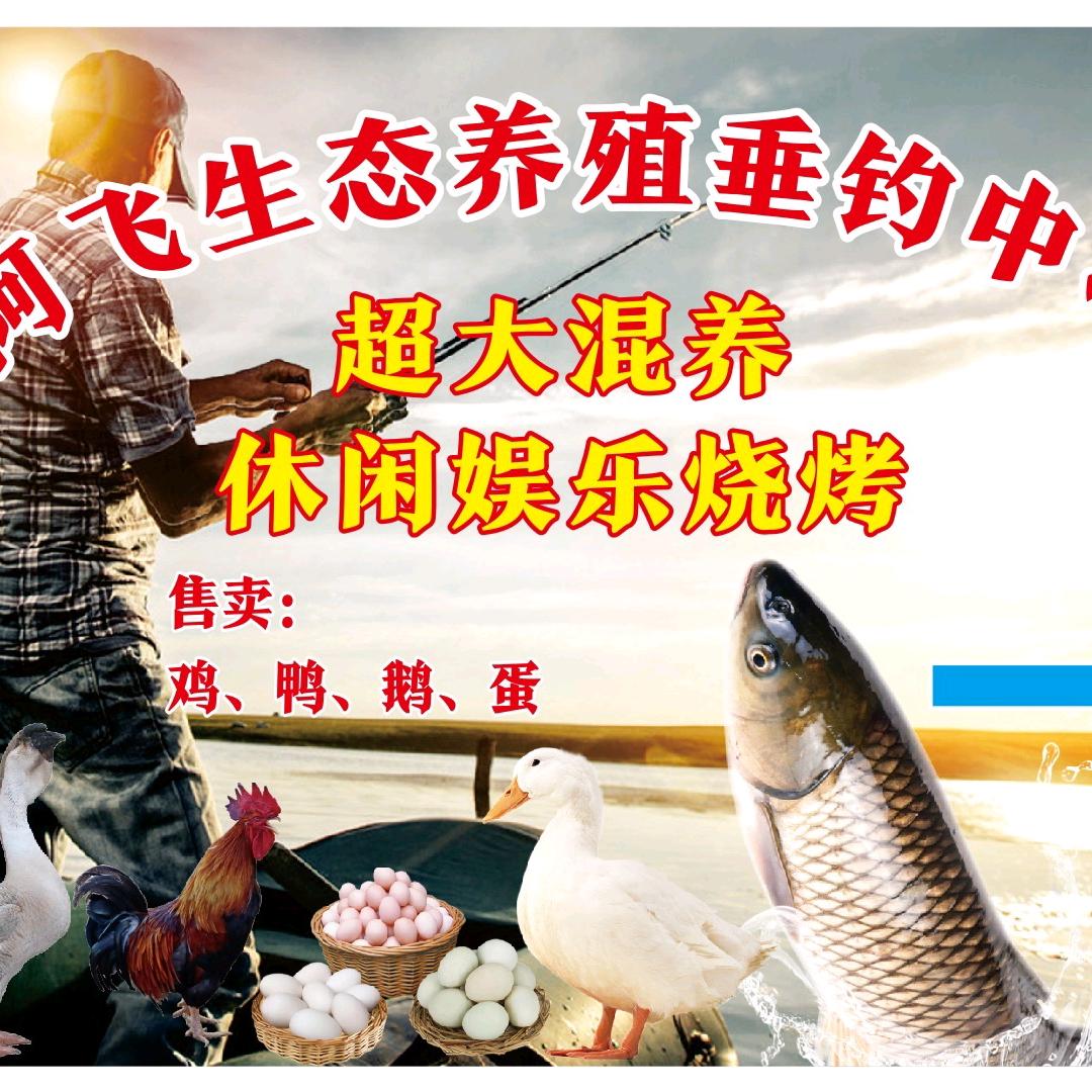 师桥休闲娱乐生态养殖垂钓中心。阿飞