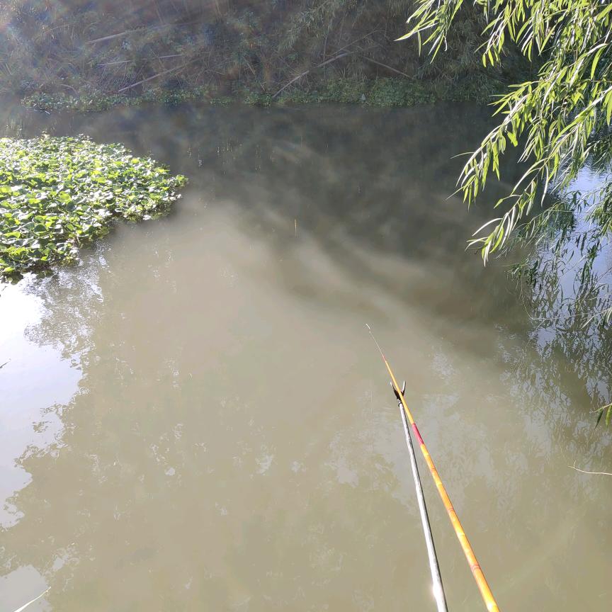 四川爱钓鱼东哥