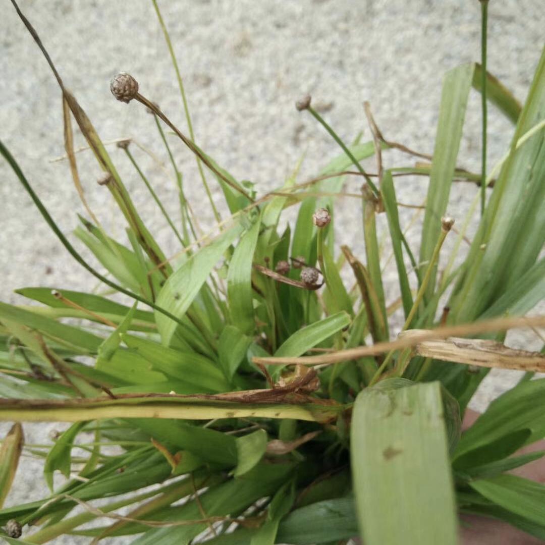 人心难测水难量