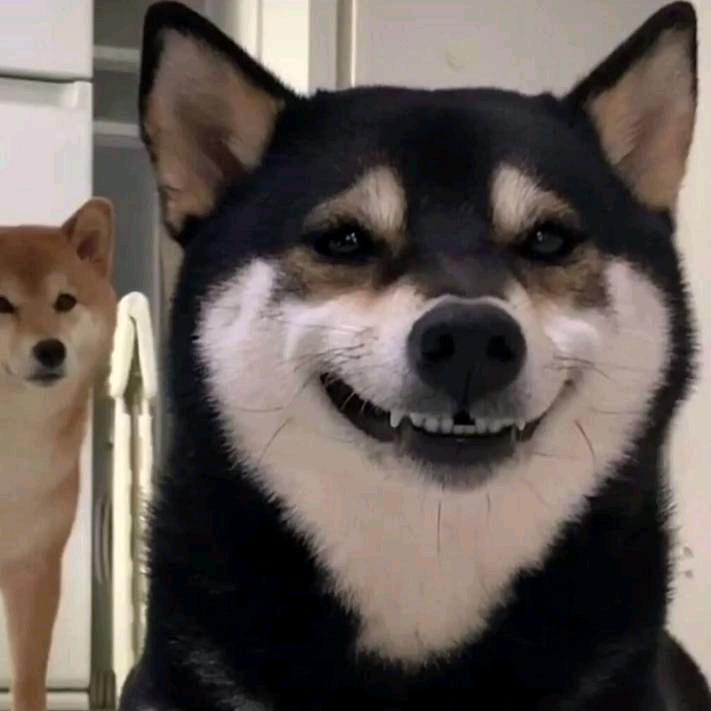 瘦仔