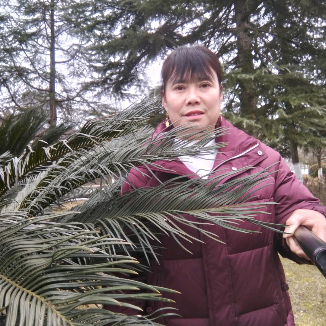 饶姐