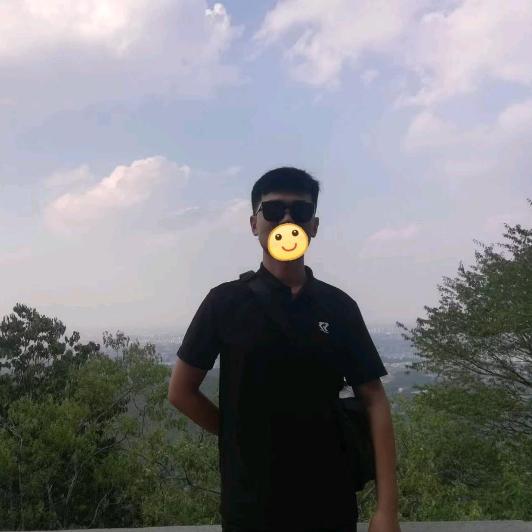 合肥振振