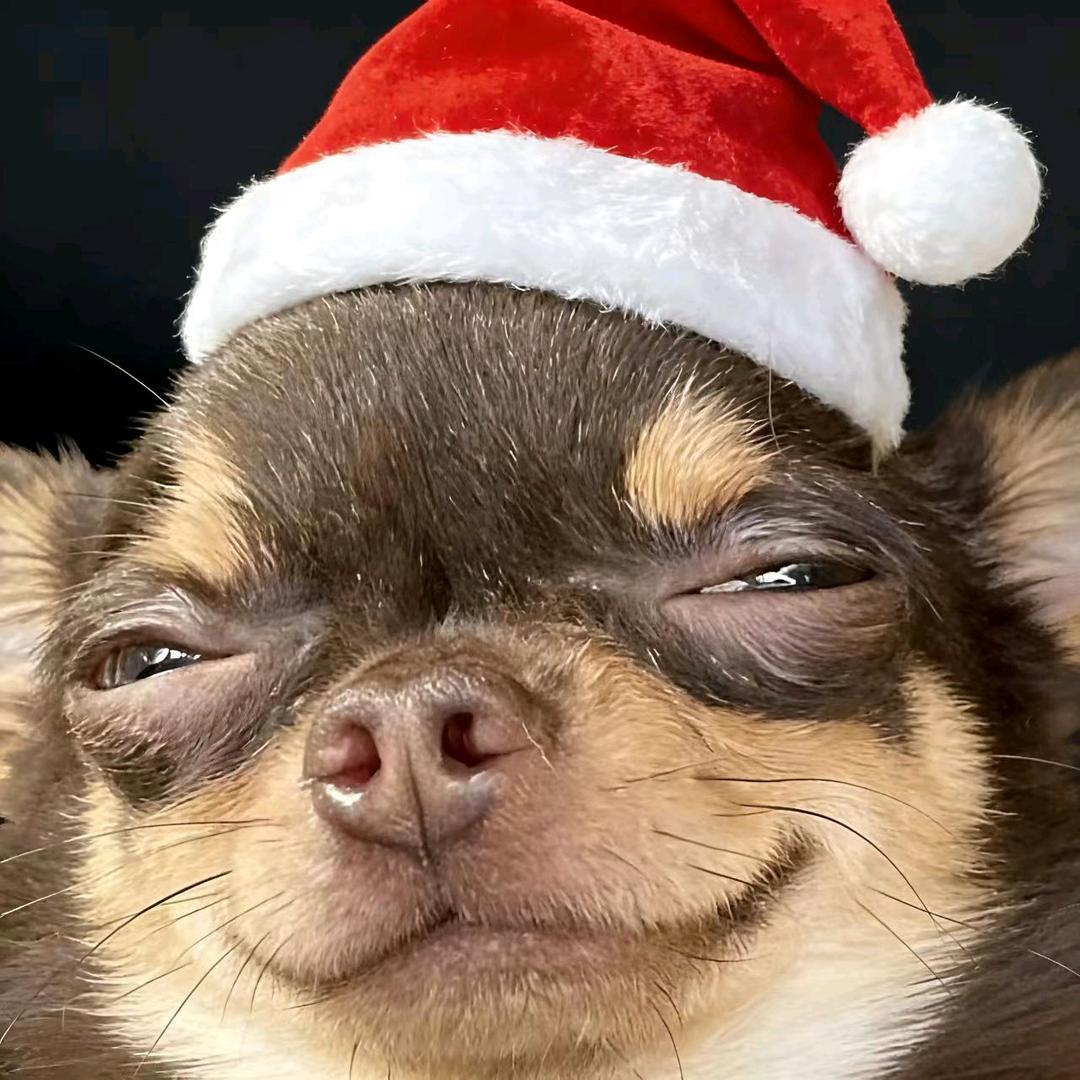 BI（期末认真打瓦版）