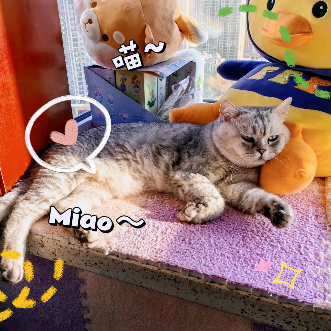 野蛮&小可爱
