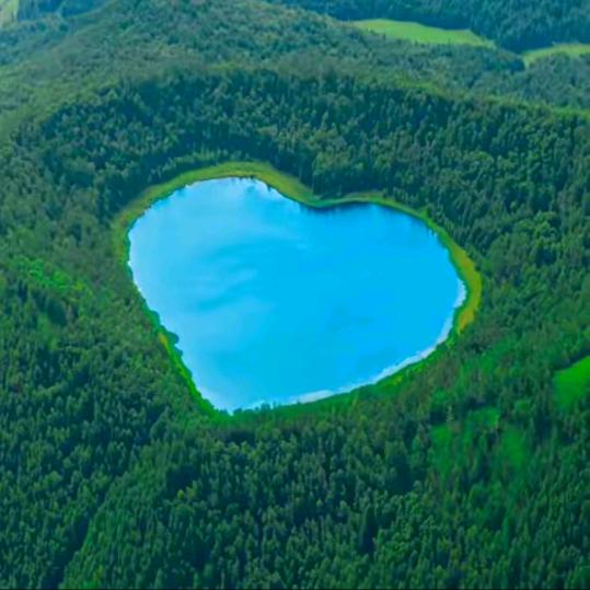 💗无愧于心💗