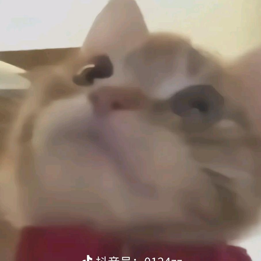 (˵¯͒〰¯͒˵)1