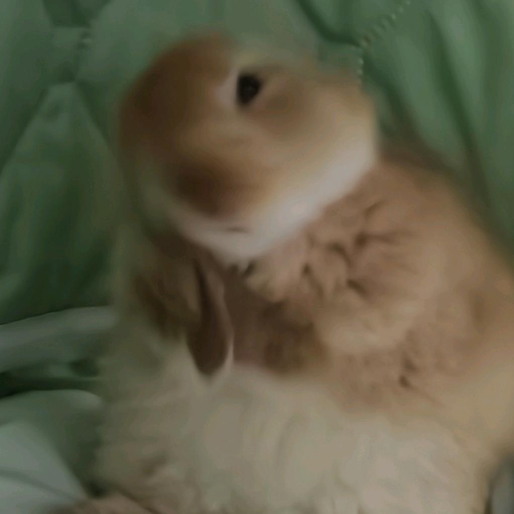 服了喵