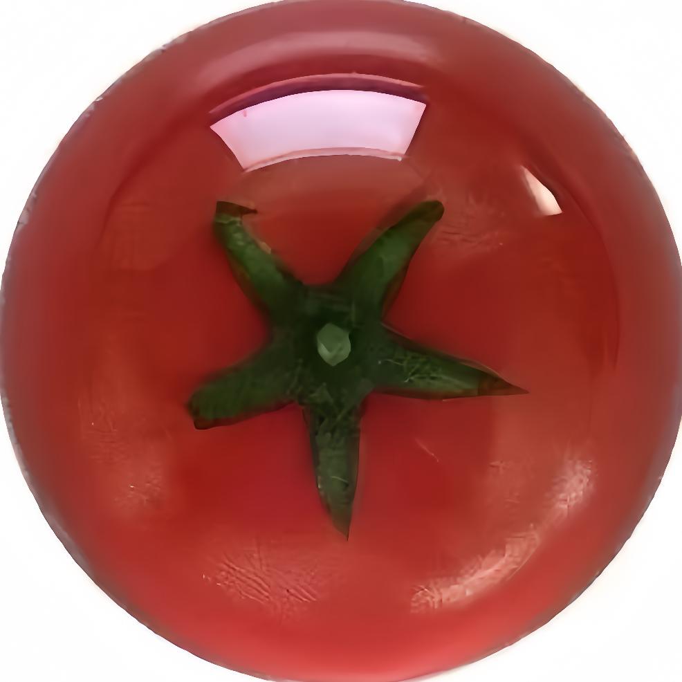 东北洋柿子🍅
