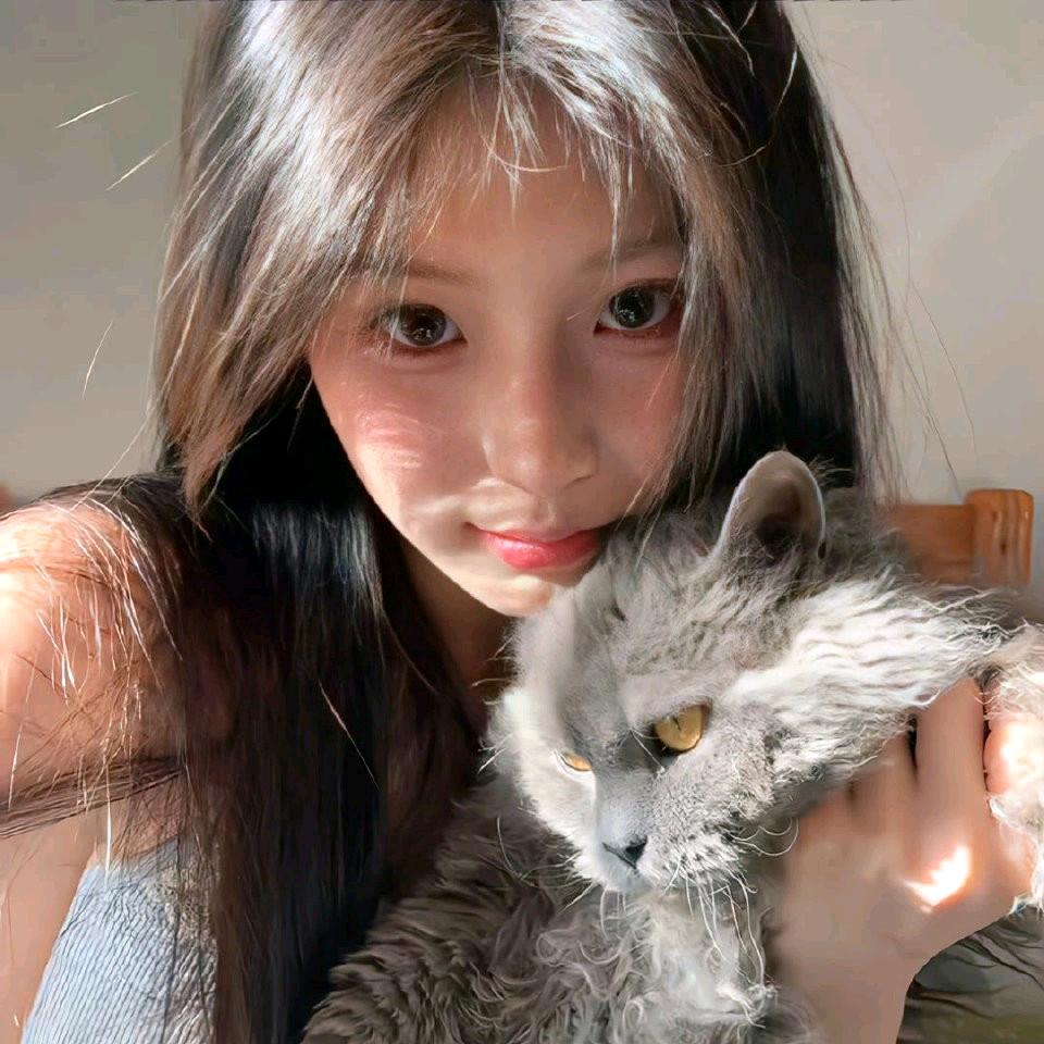 星星偷走睡意