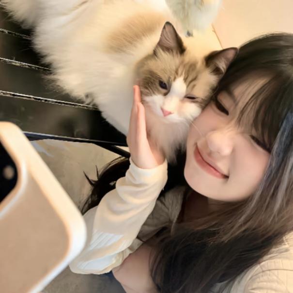 小佳yu